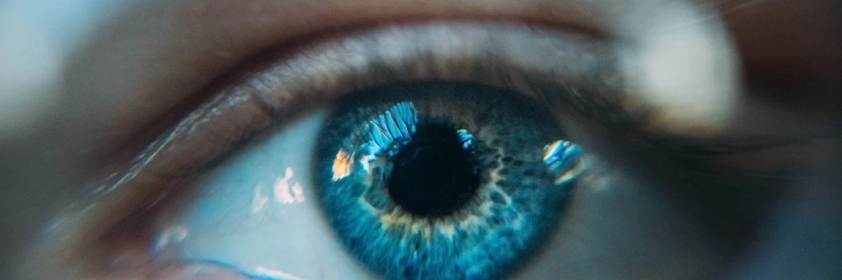 Eyes Of The Future Eyes Of The Future